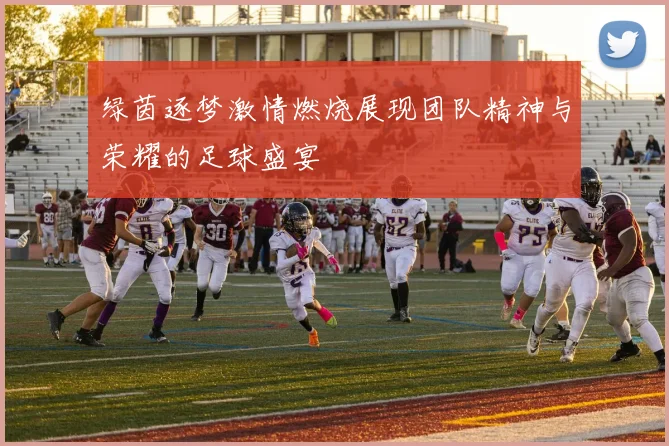 绿茵逐梦激情燃烧展现团队精神与荣耀的足球盛宴
