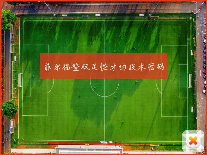 菲尔福登双足怪才的技术密码