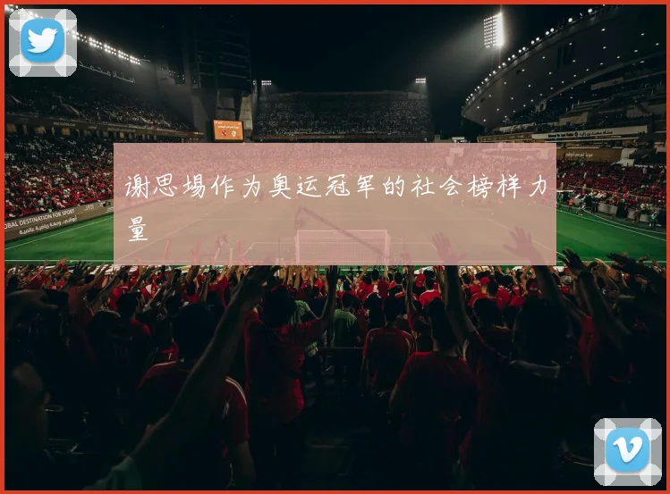 谢思埸作为奥运冠军的社会榜样力量