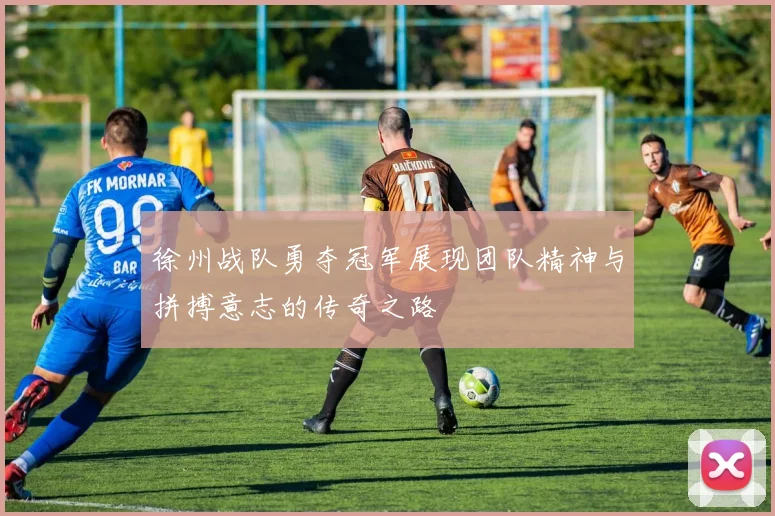 徐州战队勇夺冠军展现团队精神与拼搏意志的传奇之路